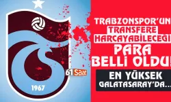 Trabzonspor'un transfer için harcayabileceği para belli oldu!