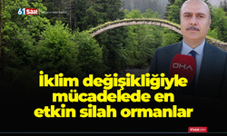 İklim değişikliğiyle mücadelede en etkin silah ormanlar