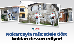 Kokarcayla mücadele dört koldan devam ediyor!