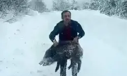 Eliyle domuz yakalayan vatandaşa ceza