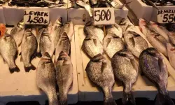 Kar ve fırtına balıkçıyı vurdu: Tezgâhlarda çeşit azaldı