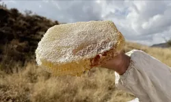 Kilosu  11 bin 118 euro! Satış rekoruyla Guinness'e girdi