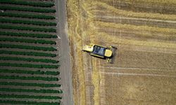 Tarım sektörü yıllık ihracat rekoru kırdı