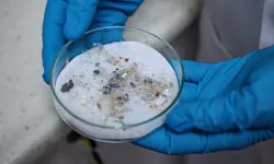 Türk bilim insanları üretti! Mikroplastikler güneş enerjisine dönüştürüldü