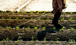 Tarımda ‘B-Reçete’  dönemi  başlıyor!