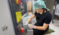 Giresunlu kadın girişimci devlet desteğiyle fındık işleme tesisi kurdu