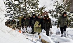 Gümüşhane’de aç kalan yaban hayvanları için seferberlik