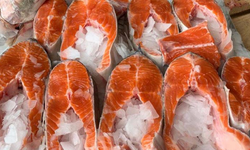 Türk somonu ihracatı 2025'te 520 milyon doları aştı