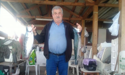 Giresun'da şüpheli ölüm!