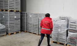Trabzon'da soğuk hava deposunda denetim!