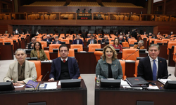 CHP’li Sibel Suiçmez’den sert tepki: ‘Emekliye yapılan artış utanç verici!’