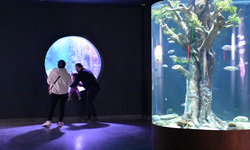 Trabzon Akvaryum geçen yıl 215 bini aşkın ziyaretçiyi ağırladı