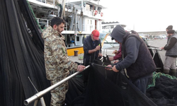 Hamside beklenti boşa çıktı! Tekneler erken paydos etti