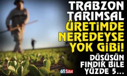 Trabzon tarım üretiminde neredeyse yok gibi! Fındık bile yüzde 5...