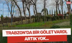 Trabzon'da bir gölet vardı, artık yok...