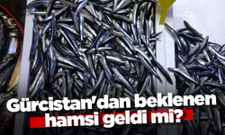 Gürcistan'dan beklenen hamsi geldi mi?