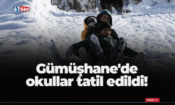 Gümüşhane'de okullar tatil edildi!