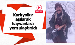 Karlı yollar aşılarak hayvanlara yem ulaştırıldı