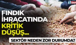 Fındık ihracatında kritik düşüş: Sektör neden zor durumda?