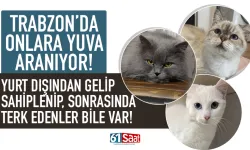 Yurt dışından gelip Trabzon'da sahiplendiler, giderken terk ettiler...