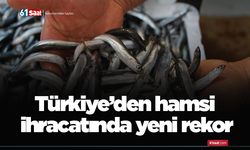 Türkiye’den hamsi ihracatında yeni rekor