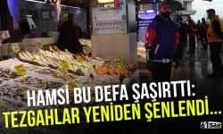 Hamsi bu defa şaşırttı: Tezgahlar yeniden şenlendi...