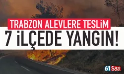 Trabzon alevlere teslim: Sıcak hava dalgası 7 ilçede yangın çıkardı!