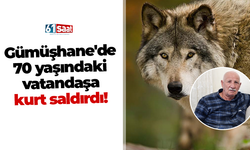 Gümüşhane'de 70 yaşındaki vatandaşa kurt saldırdı!