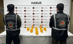 Ayakkabı içine gizlenmiş 41 kilo altın yakalandı