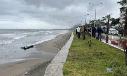 Sahilde  şüpheli parça alarmı!