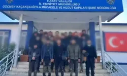 Hayvan dışkısıyla kamufle edilen gizli bölmeden 19 kaçak göçmen çıktı