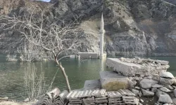 Artvin'de baraj suları çekildi köy ortaya çıktı