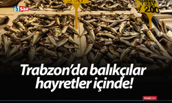 Trabzon’da balıkçılar hayretler içinde!