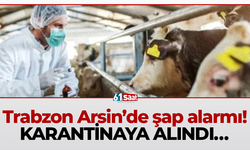 Trabzon Arsin’de şap alarmı! KARANTİNAYA ALINDI…