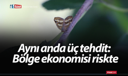 Aynı anda üç tehdit: Bölge ekonomisi riskte