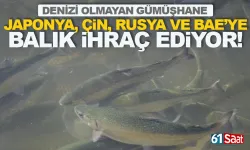 Denizi olmayan Gümüşhane'den BAE, Rusya, Çin ve Japonya'ya balık ihracı...