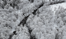 Ordu ve Rize beyaza büründü
