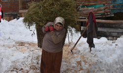 Artvin’in karla kaplı Maden köyü fotoğraf tutkunlarını ağırladı