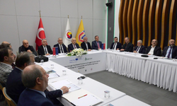 Karadeniz'de 3 ülkede eş zamanlı zararlı böceklerle mücadele projesi başlatıldı