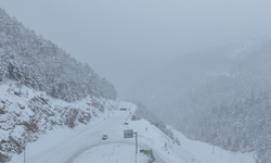 Zigana Dağı'nda kar etkili oldu