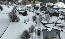 Artvin Orman Bölge Müdürlüğü’nden karla mücadeleye destek