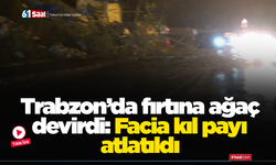 Trabzon’da fırtına ağaç devirdi: Facia kıl payı atlatıldı