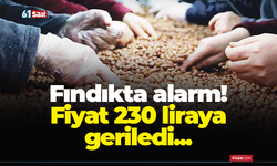 Fındıkta alarm! Fiyat 230 liraya geriledi...