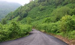 Trabzon'da 2 ilçe için 5,5 kilometrelik yeni orman yolu yatırımı!