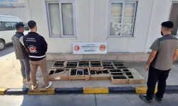 Bakanlık devreye girdi: 85 binden fazla hayvan ele geçirildi