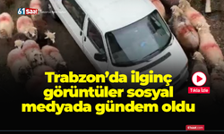 Trabzon’da ilginç görüntüler sosyal medyada gündem oldu