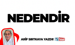 Arif Sırtkaya yazdı! Nedendir