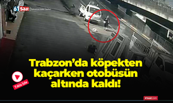 Trabzon’da köpekten kaçarken otobüsün altında kaldı!