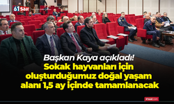 Başkan Kaya açıkladı! Sokak hayvanları için oluşturduğumuz doğal yaşam alanı 1,5 ay içinde tamamlanacak