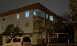 Ablasını bıçaklayıp balkondan atladı
